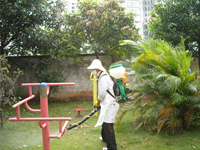 2012年南寧兩會一節(jié)加強(qiáng)“四害”消殺工作