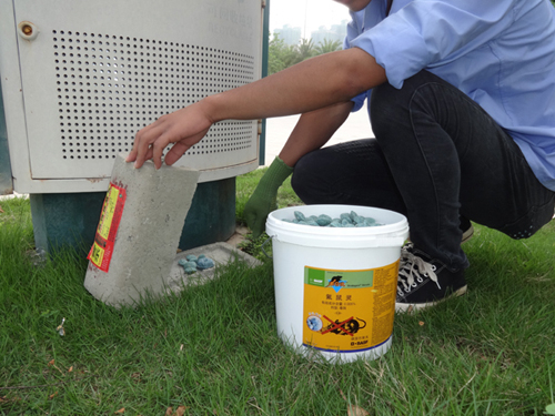 白蟻防治方法有哪些？